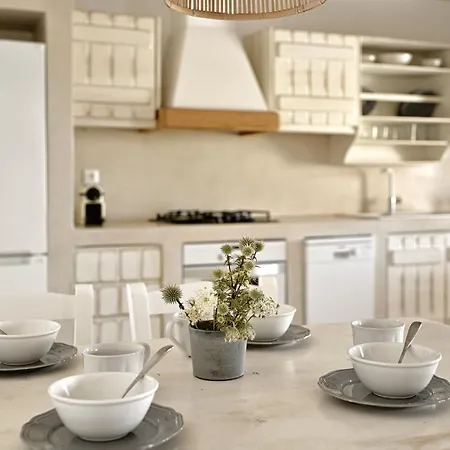 公寓 Vlia Mar Myconian Residences *